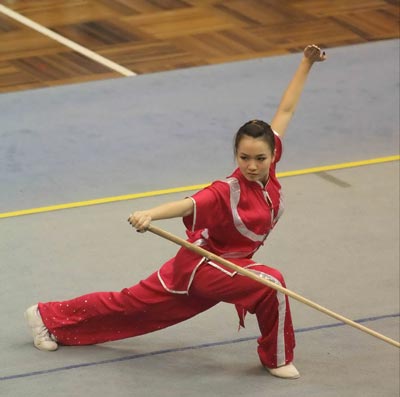 2013 national wushu championship Quang Ninh pockets 16 medals